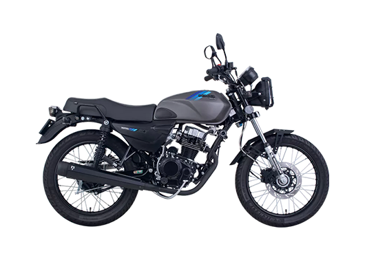 Motometa Detalles Amortiguador trasero para motocicleta Cargo 125